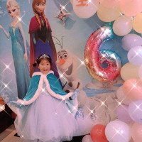 Frozen Elsa and Anna Backdrop Pillow Style with Strong Zipper 